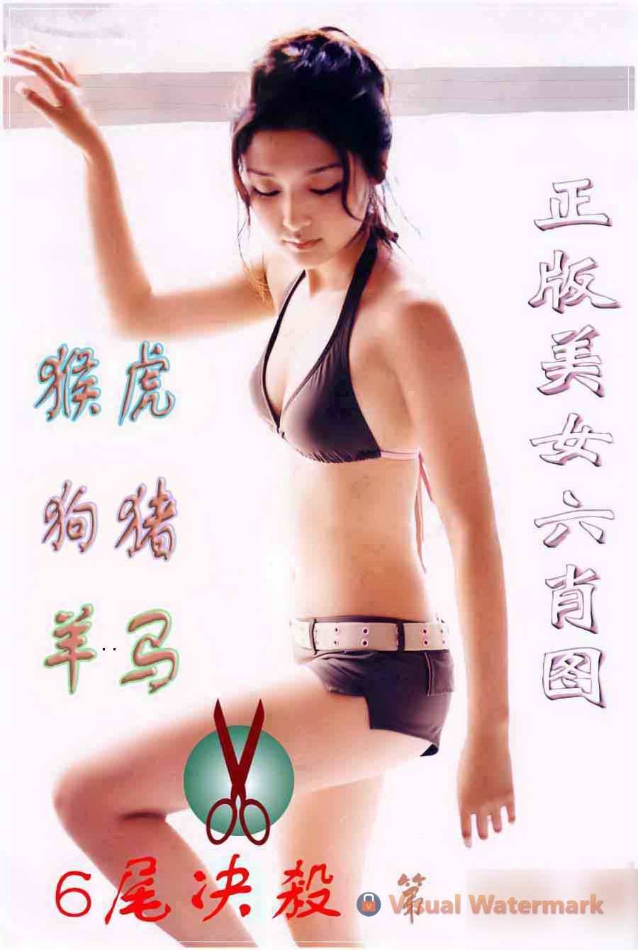 美女六肖②